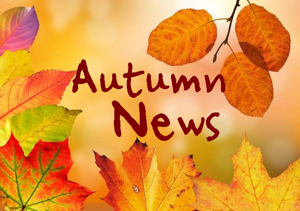 Autumn News Update! MindingKids