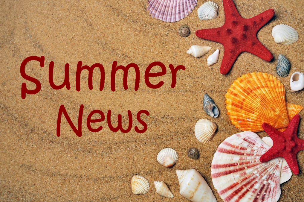 Summer News Update! MindingKids