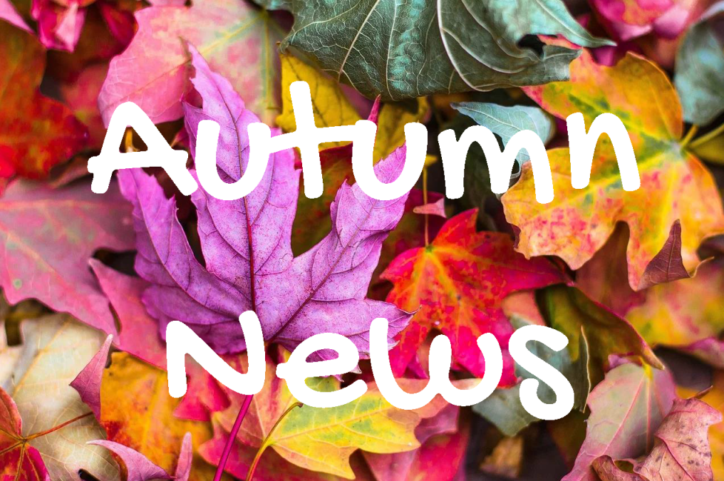 Autumn News