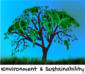 environment & sustainability policy