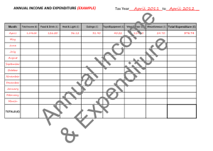 accounts-annual-income-expenditure