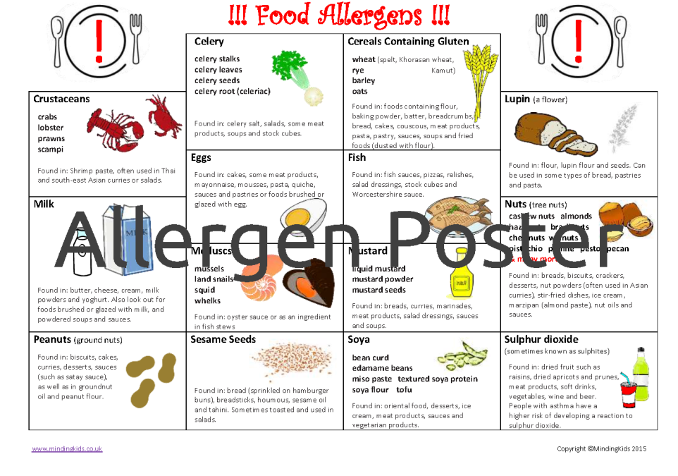 Printable Food Allergy Poster Pdf