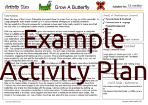 Activity Plan - Grow a Butterfly