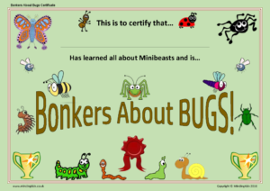 Bonkers About Bugs Certificate