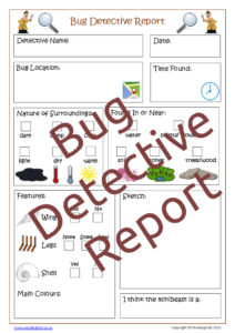 Bug Detective Report