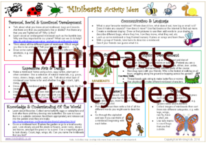 Minibeasts Activity Ideas