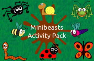 product-minibeasts-activity-pack