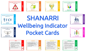 SHANARRI Pocket Cards