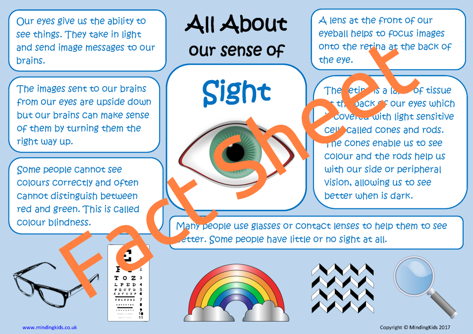 The Five Senses Sight