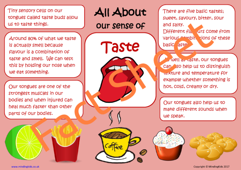 Sense Of Taste Examples