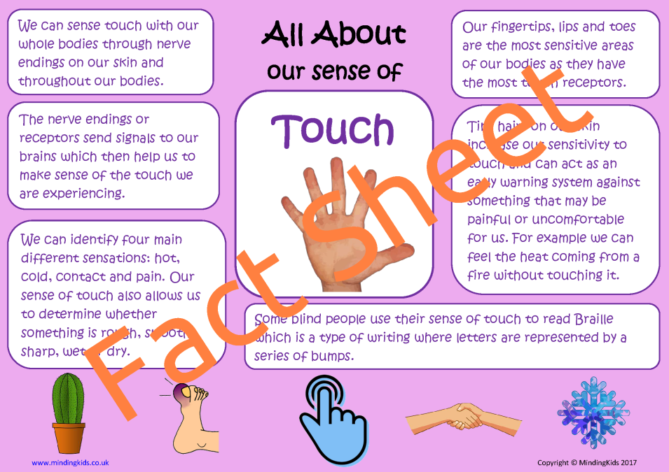 Our Sense of Touch
