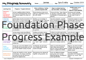 Foundation Phase Progress Summary