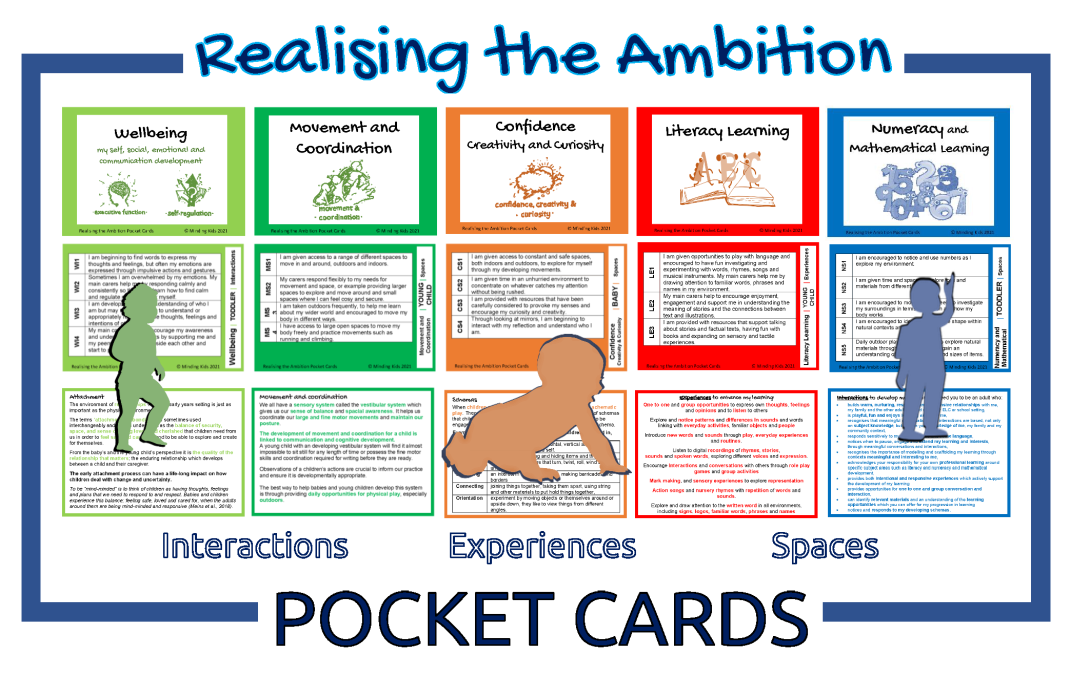 RTA Pocket Cards