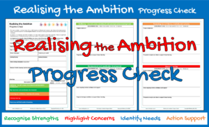 Realising the Ambition Progress Check