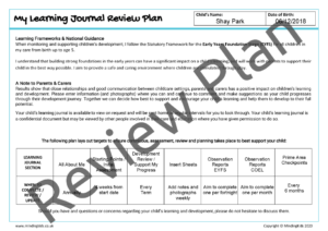 Review Plan_EXAMPLE(1)